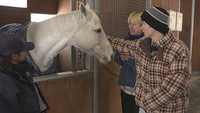 乗馬・ノーザンホースパーク｜冬こそ行きたい！パンタグラフの北海道たび！