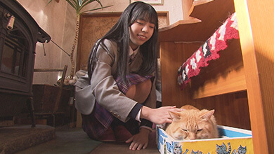 猫カフェ（カフェ・ガーディアン / 小諸市）