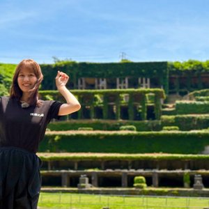 カーフェリーでGO！絶景･海鮮･映え満載！佐渡の旅（2026年6月27日 土曜 あさ9時30分）