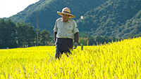 米農家・細田良作さん | 水と生命のシンフォニー 第4楽章